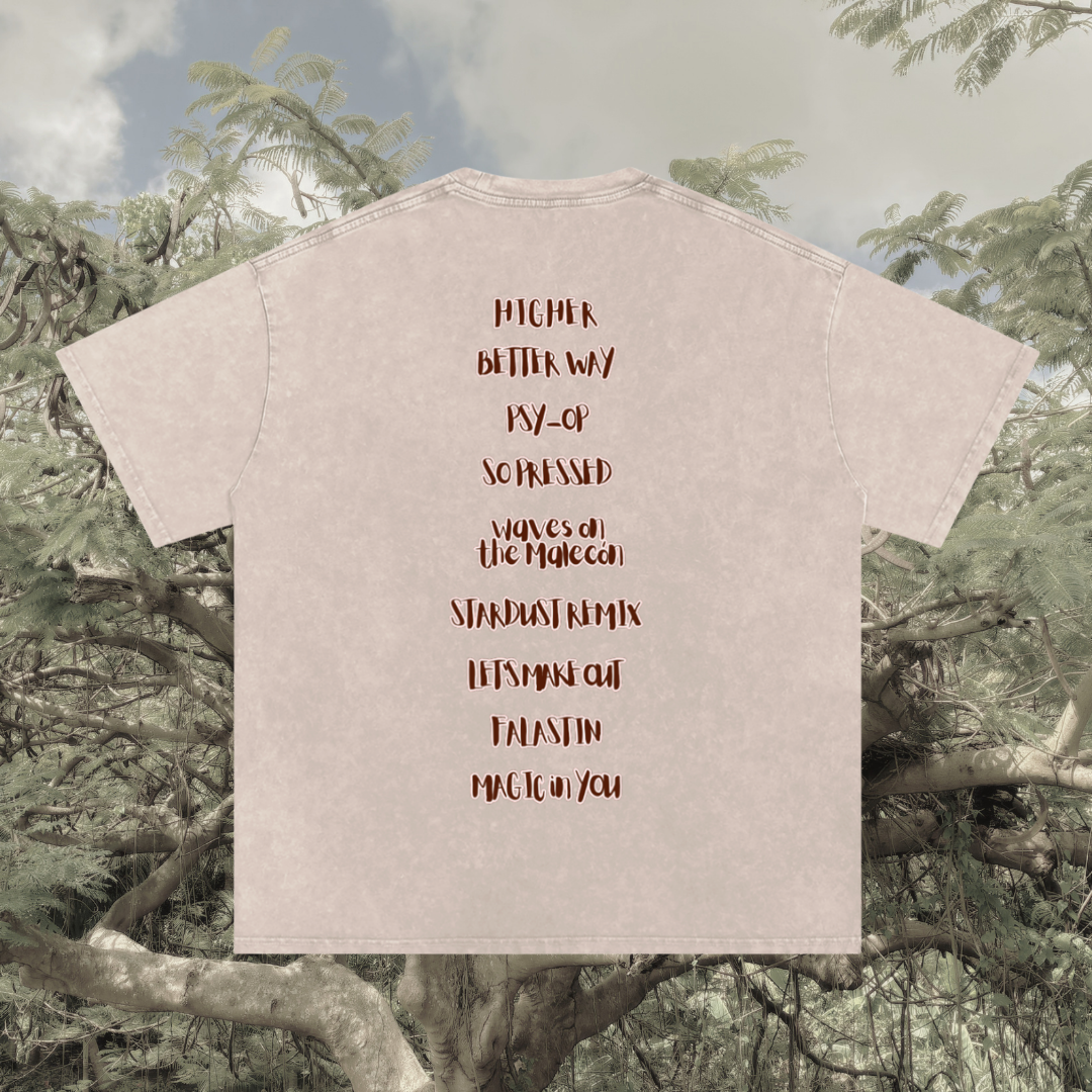 Truth Translator LOGO tee
